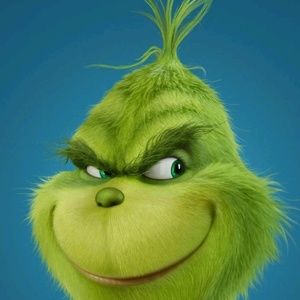 Meet your Posher, Ann